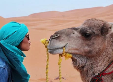 Morocco 7 Days Tour From Casablanca
