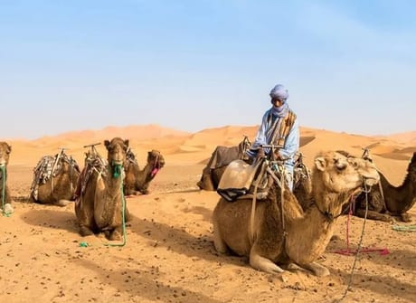 6 Days Morocco Tours From Casablanca