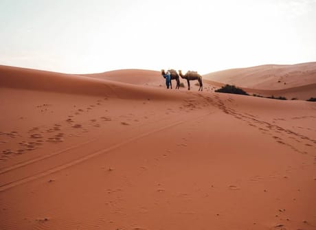 5 Days Sahara Desert Tour From Marrakech to Fes, Morocco
