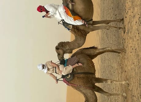 7 Day Private Tour from Marrakech visiting the Desert, Fes, and Chefchaouen