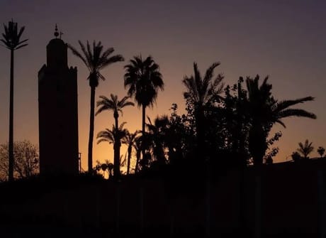 Private Morocco Tour From Marrakech: 8-Day To Essaouira Taghazout & Mirleft Tour