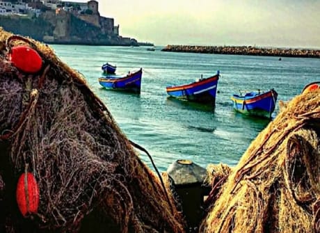 Excellent 9 Days From Marrakech to Casablanca visiting Desert, Fes, Chefchaouen and Rabat,