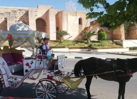 Private 5-day form Tangier to Chefchaouen, Fes, Casablanca, Rabat & Assilah