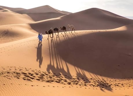 Casablanca to Marrakech: Desert Adventure Tour