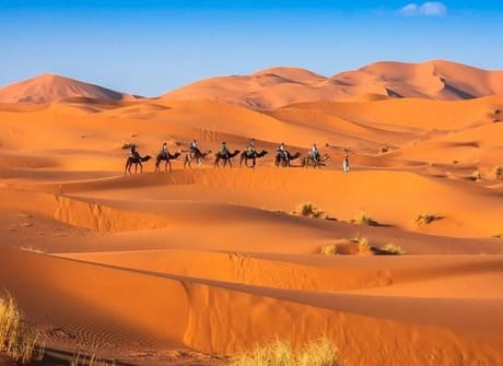 Grand Morocco Expedition: From Northern Wonders to Southern Charms