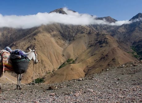 Short trips to marrakech: 2 Days Hike Overnight Berber villages – High Atlas Mountains