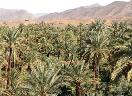 Marrakech and the Sahara Desert 6-Day Expedition