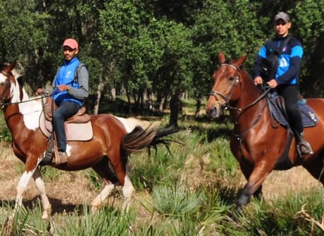 Morocco Horse Riding & Wellness Tour