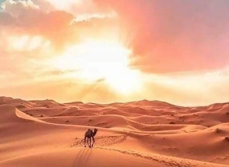 Private 6-Day through Marrakech & the Sahara Desert