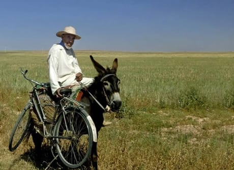 Morocco Sahara Camel Caravan Expedition
