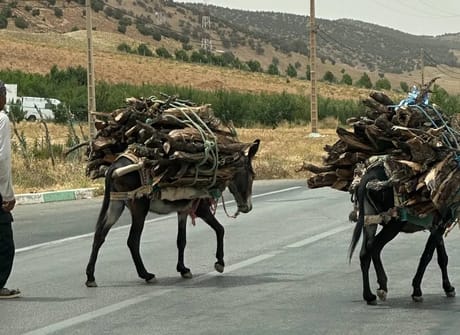 Marrakech Express 6 Days Tour from Tangier