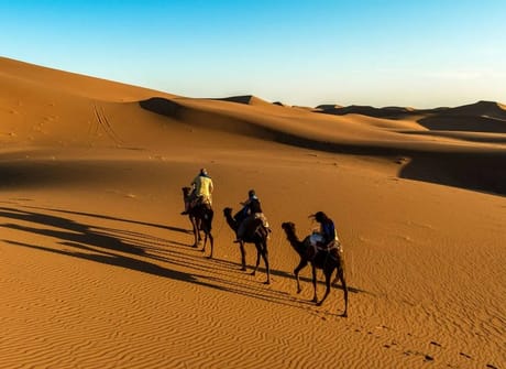 Fez & Desert Magical Tour