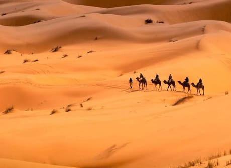 7 Days Tour from Tangier to Casablanca