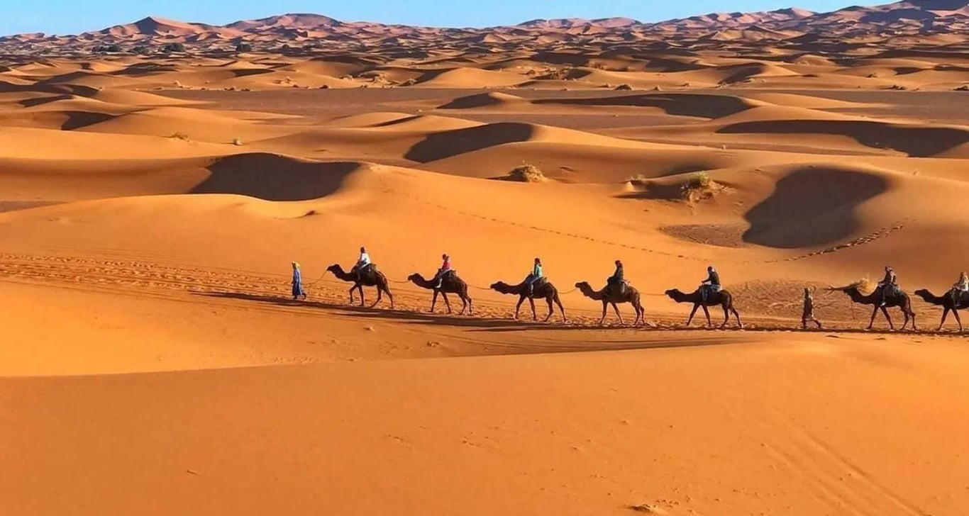 From Fez: 3-Day Desert Tour to Marrakech