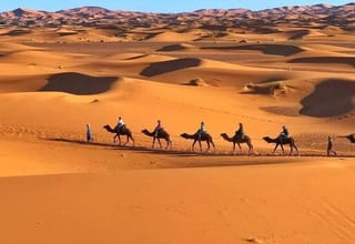 From Fez: 3-Day Desert Tour to Marrakech