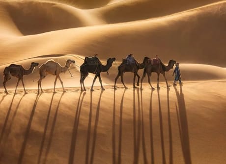 Authentic 10-Days Imperial Cities & Desert Grand Tour from Casablanca