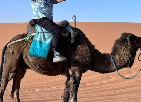 11 Days Private Tour from Casablanca