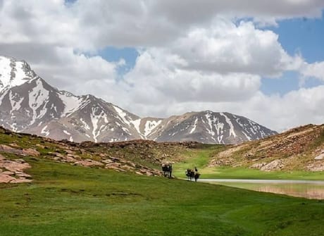 Morocco Tours – 9 Days Special tour from Marrakech visiting Desert, Fes, Chefchaouen and more