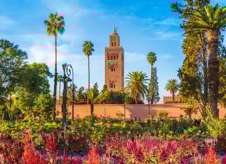 Southern Morocco: The Sahara, The Coast & Marrakech