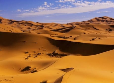 6-Days Private Tour: Marrakech, Essaouira, & Desert trip to Fes
