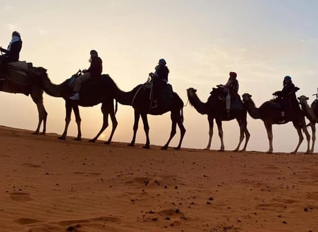 6 Days Private tour from Casablanca to Marrakech visiting Chefchaouen, Fes and Sahara desert