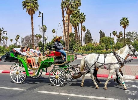 9 Days Tailor-Made Best Morocco Tour, Daily Start & Private Trip