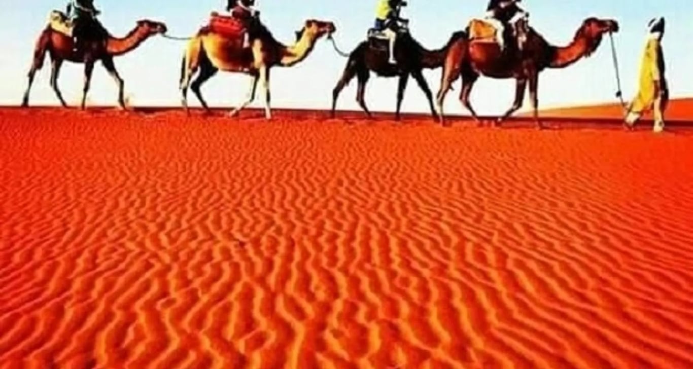 Private tour: Casablanca to Marrakech via Chefchaouen, Fes, and Desert.