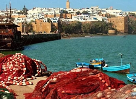 4 Days from Marrakech to Fes via Essaouira / Chefchaouen
