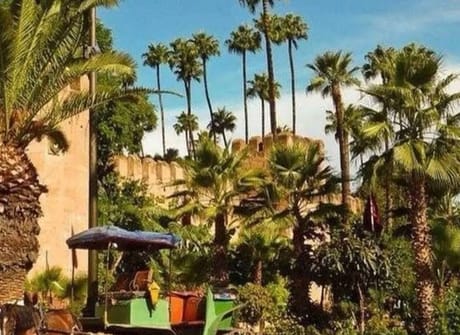 6-Day Private Morocco Tour: Casablanca to Marrakech, Exploring Chefchaouen, Fes, & Sahara