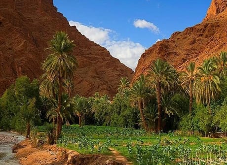 A Taste of Morocco: Casablanca to Marrakech