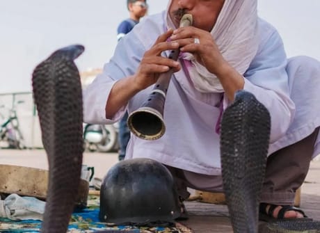 Luxury Wonders of Morocco (Guided tour)
