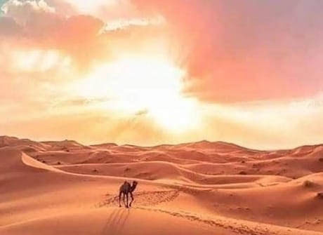 3 days From Marrakech to Fes private tour