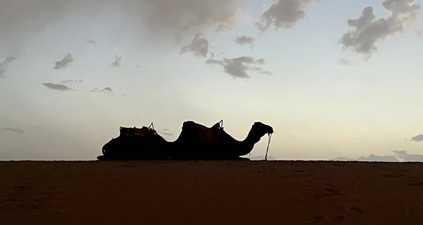 7 Days Tour From Casablanca to Marrakech via the Desert