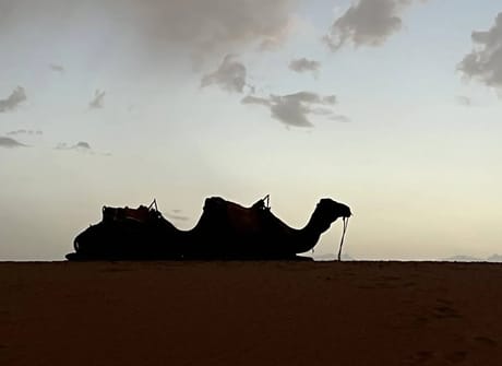 7 Days Tour From Casablanca to Marrakech via the Desert
