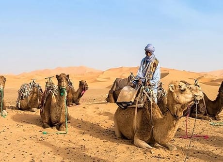 A Taste of Morocco: Casablanca to Marrakech