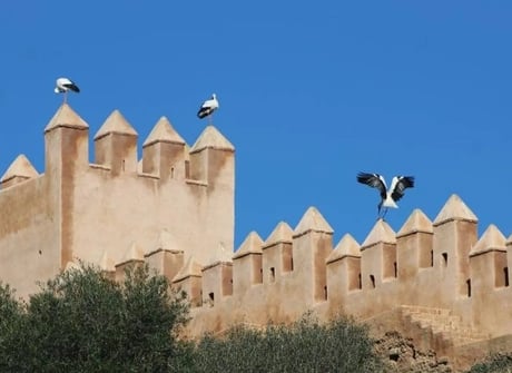 “Private Morocco Tour: Tangier to Marrakech”