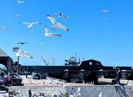 Morocco tour From Casablanca (13 Days / 12 Nights)