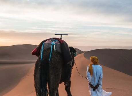 Cities, Mountains and Sahara Morocco Tour