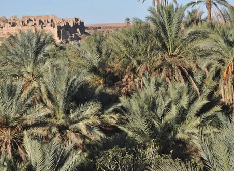 Morocco Culture and Adventure Tour