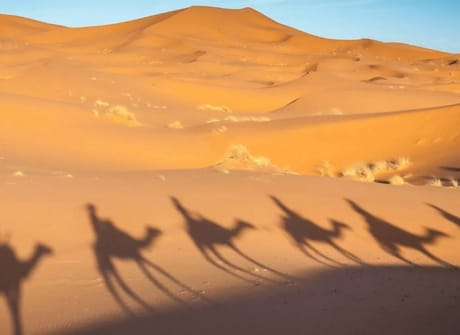 11 Day Private Tour from Fes – Imperial Cities & Desert