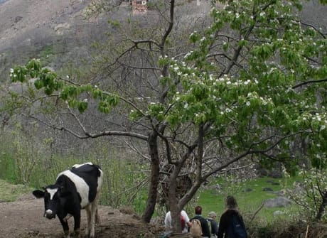 Short trips to marrakech: 2 Days Hike Overnight Berber villages – High Atlas Mountains
