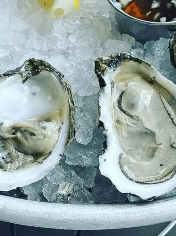 A Coastal Tour in Greenville: The Ultimate Guide to the City's Best Oysters