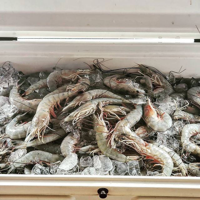 Broadwater Shrimp Supply Co.-Market-Food-Photo-1