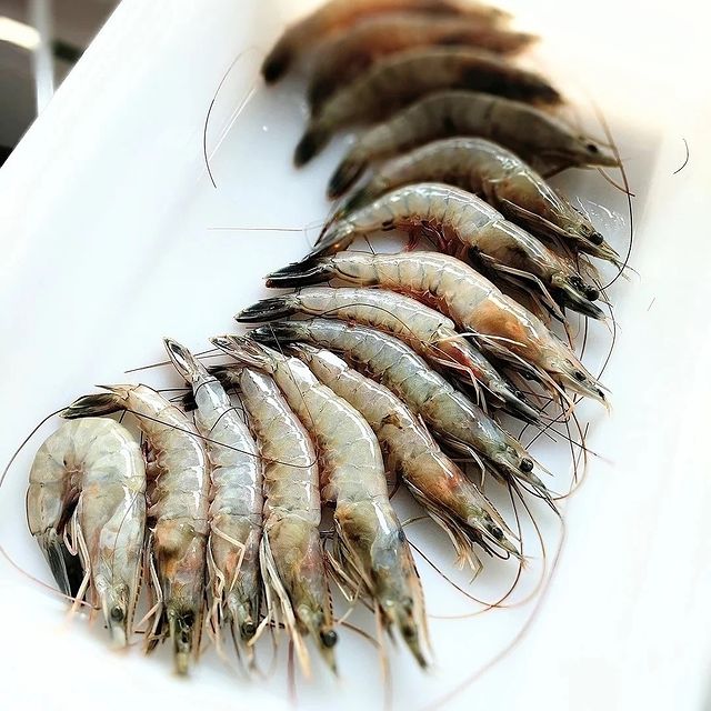 Broadwater Shrimp Supply Co.-Market-Food-Photo-2