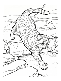 Scottish Fold Cat Pouncing On Stone Ledge