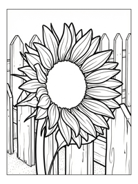 Sunflower Unfolding By Picket Fence
