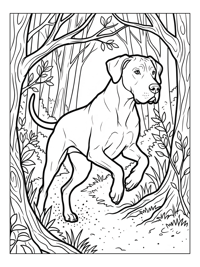 Great Dane Jumping Woodland Trail