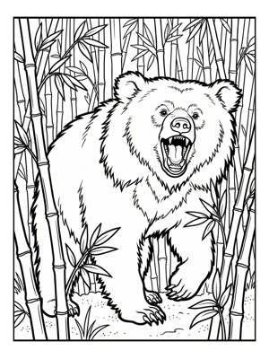 Bears