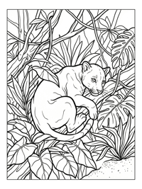 Young Jaguar Resting In Jungle Plants