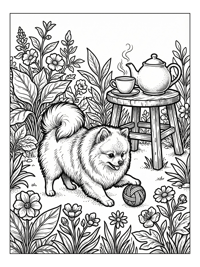 Pomeranian Playing With Yarn In Garden
